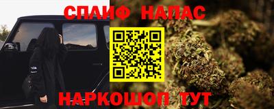 мдпв Пенза
