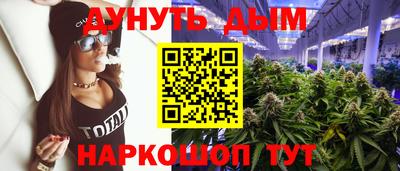 мдпв Пенза