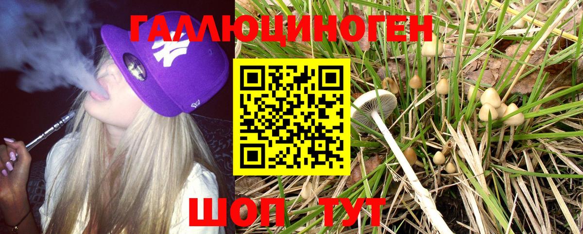 Псилоцибиновые грибы Cubensis Полевской
